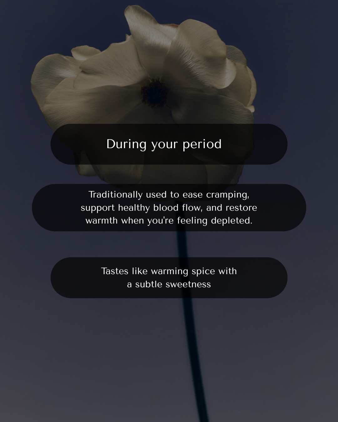 The Reset | Menstrual Phase | days 1-7