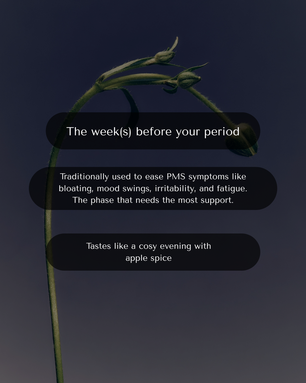 The Cycle-Sync Collection | 5-Cycle Journey