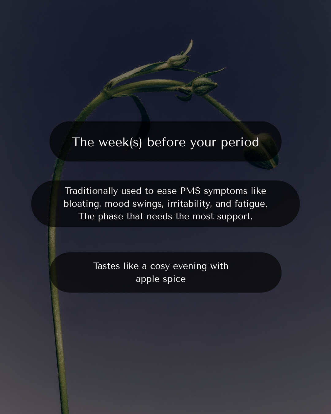 The Hold | Luteal Phase | Days 19-28