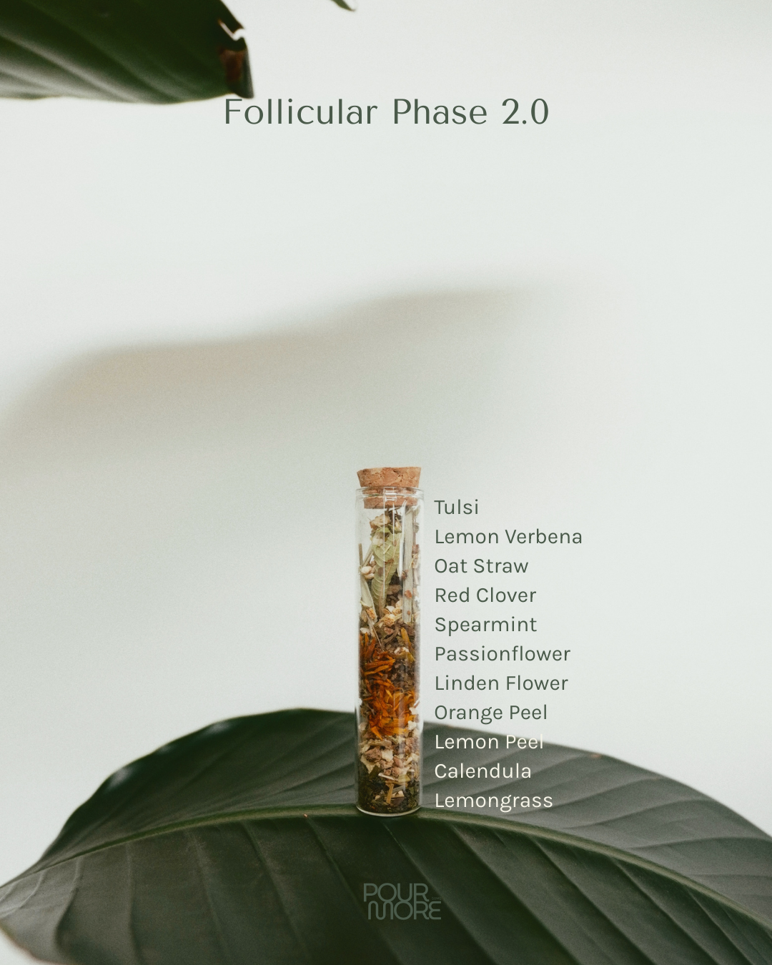 The Cycle-Sync Collection | 5-Cycle Journey