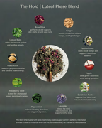 The Cycle-Sync Collection | 5-Cycle Journey