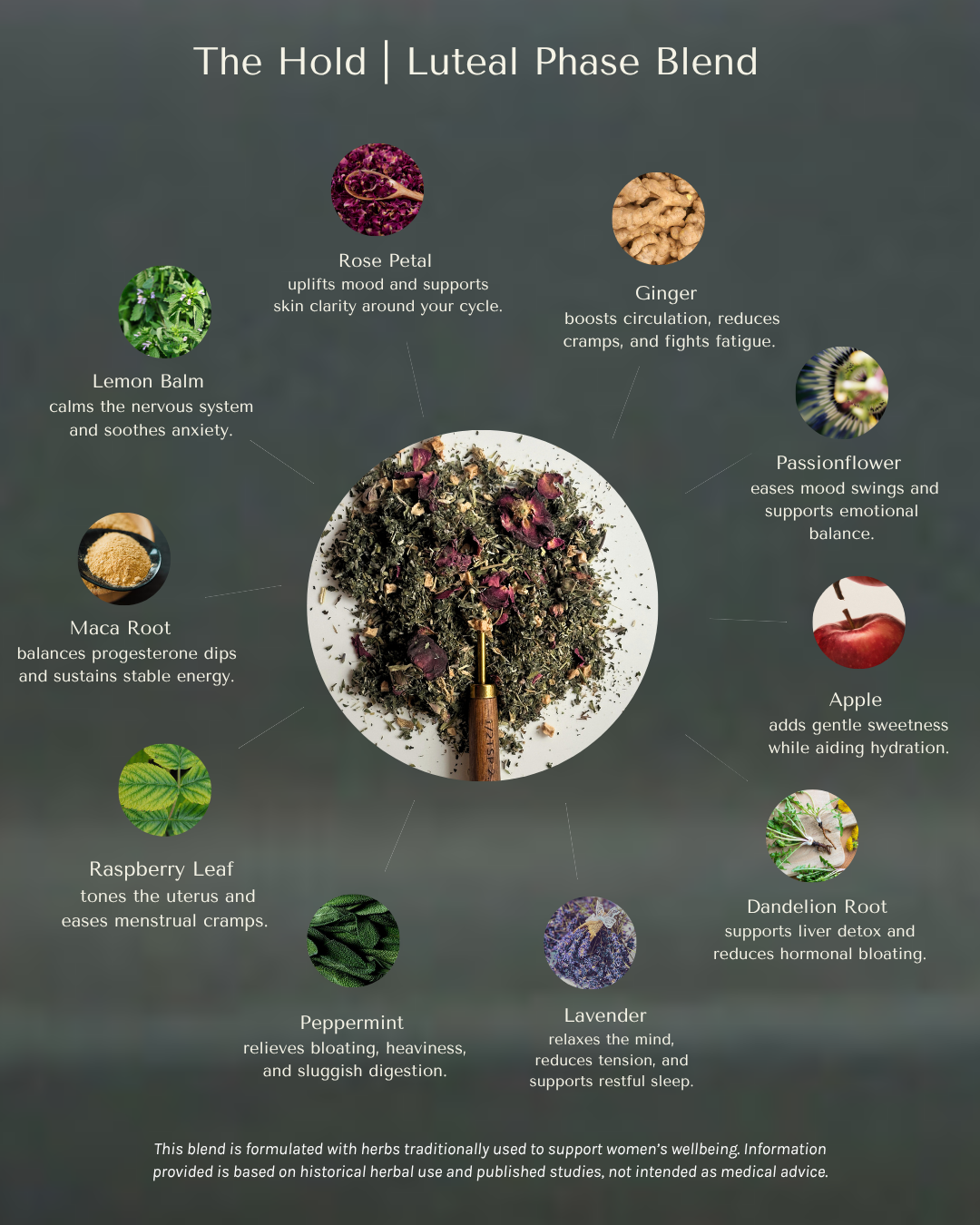 The Hold | Luteal Phase | Days 19-28