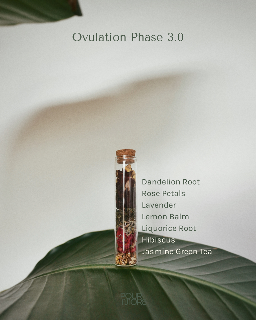 The Cycle-Sync Collection | 5-Cycle Journey