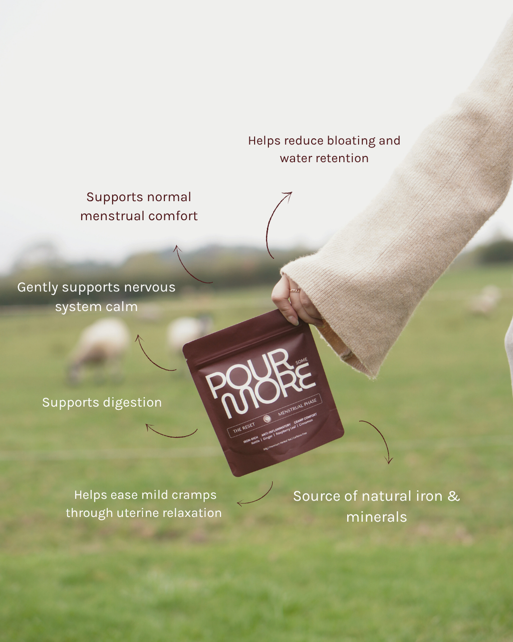 The Cycle-Sync Collection | 5-Cycle Journey