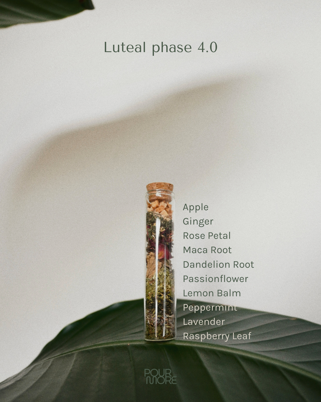 The Cycle-Sync Collection | 5-Cycle Journey