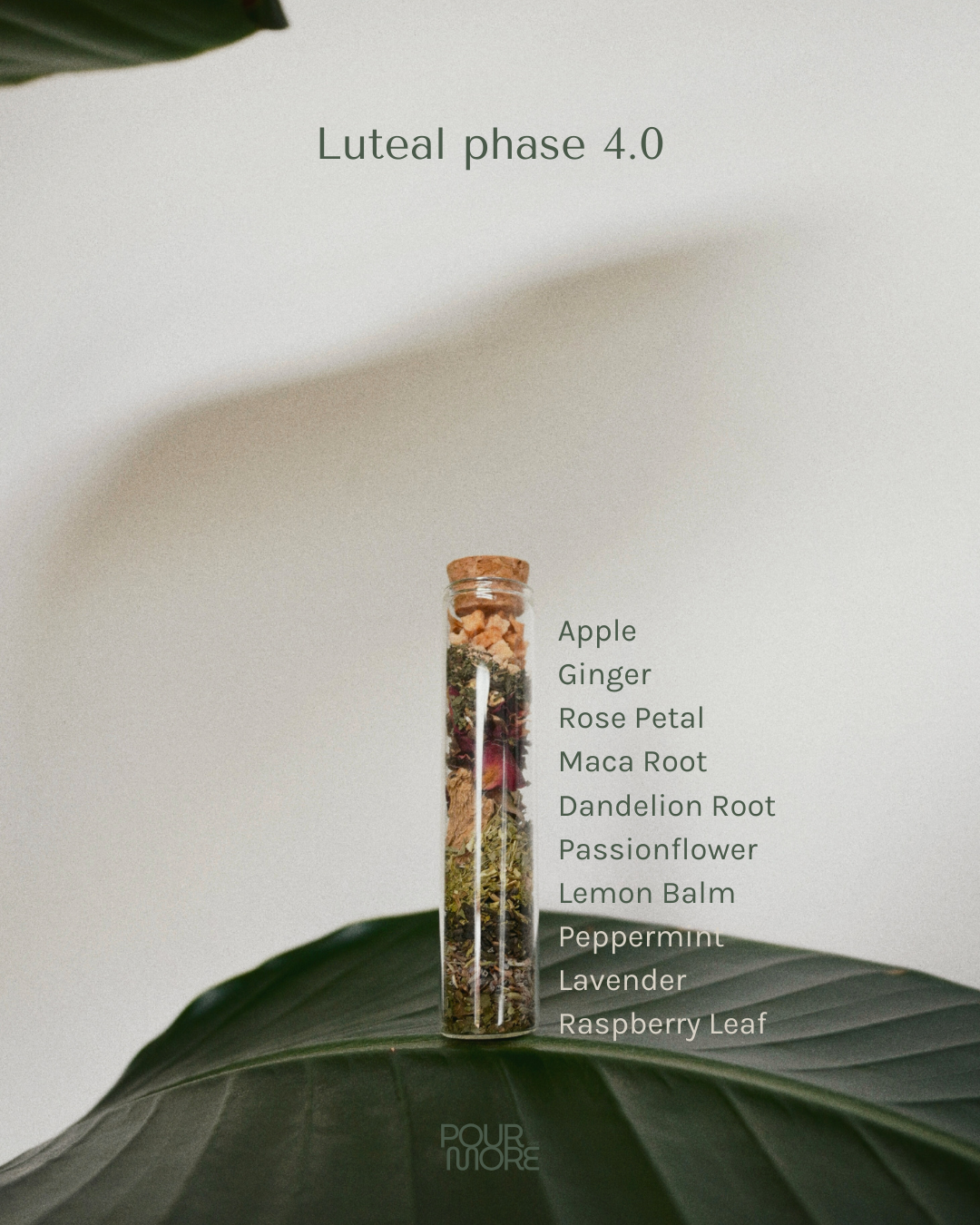 The Cycle-Sync Collection | 5-Cycle Journey