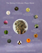 The Cycle-Sync Collection | 5-Cycle Journey