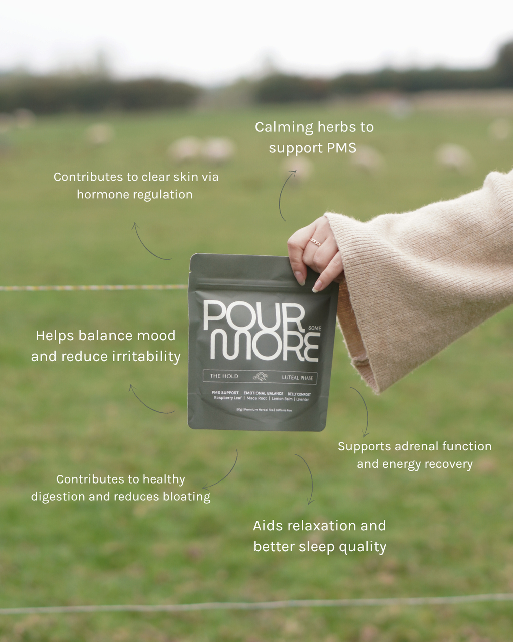 The Cycle-Sync Collection | 5-Cycle Journey