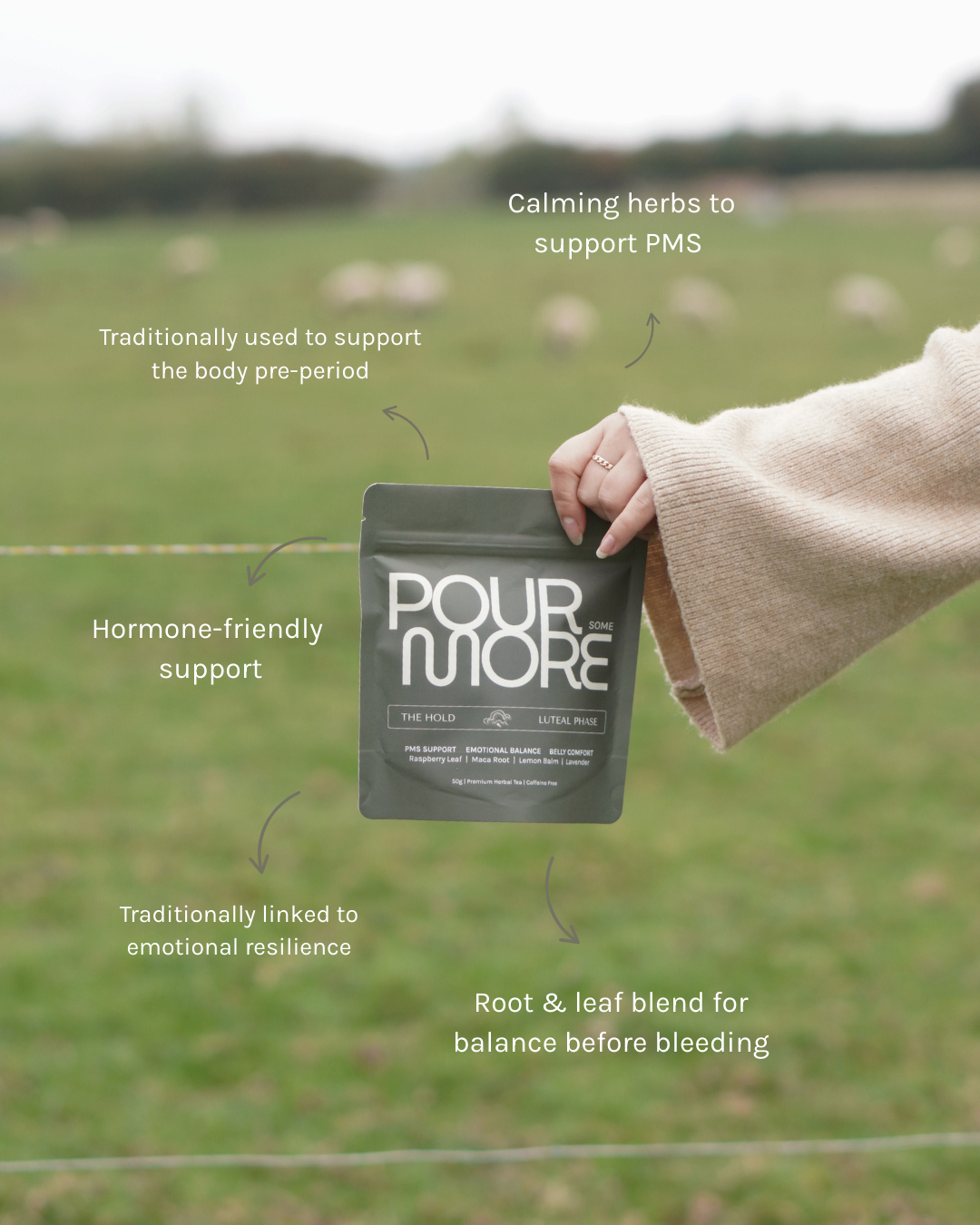 The Hold | Luteal Phase | Days 19-28